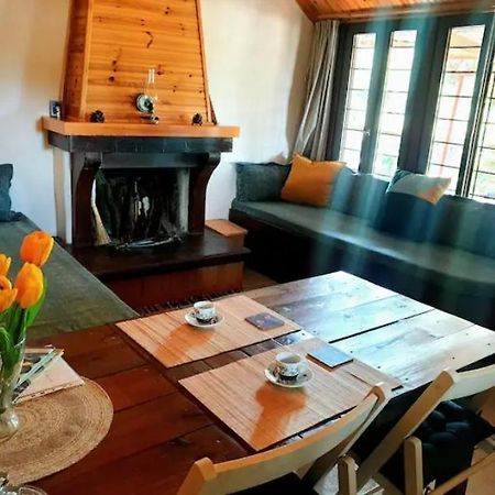 The Happy Cottage Ioannina Buitenkant foto